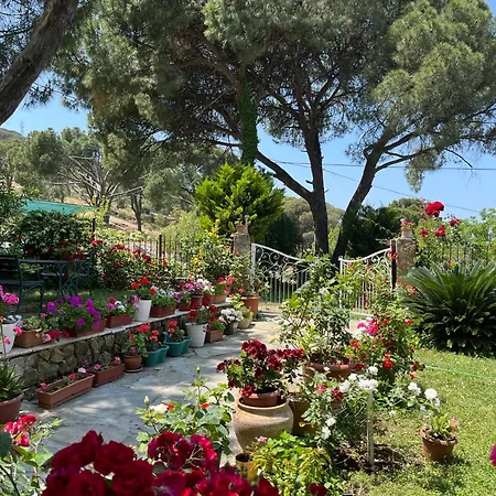 Gunebakan Taliani מלון 3*