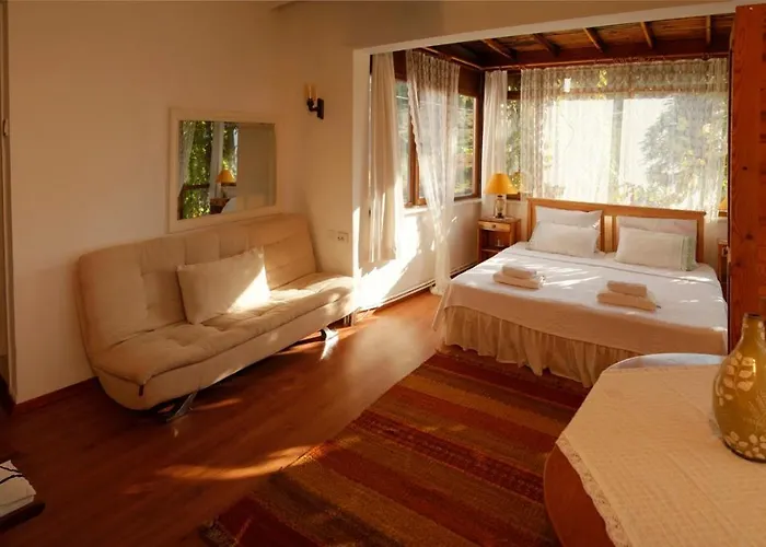 Gunebakan Taliani Отель 3*