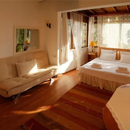 Gunebakan Taliani Otel 3*