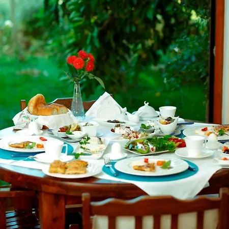 Gunebakan Taliani 3* Ayvalı