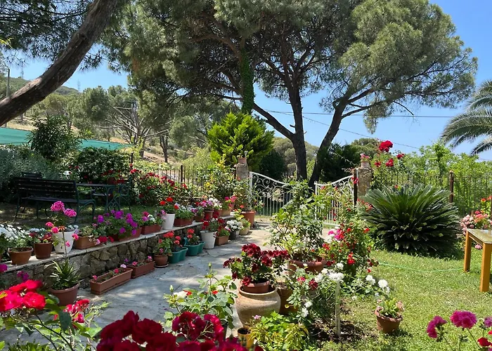 Gunebakan Taliani Hotel 3*