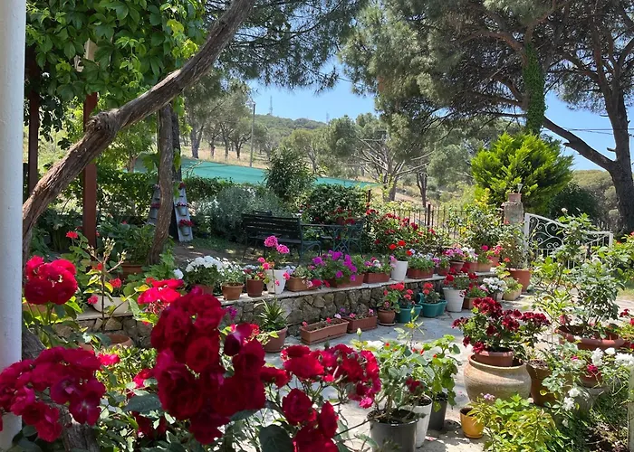 Gunebakan Taliani Hotel Ayvalı